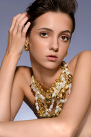 NSJ_8911_BG_SC1