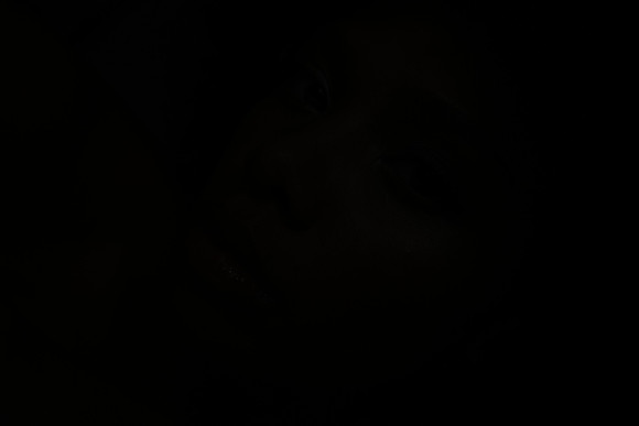NSJ_2169