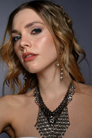 NSJ_2331